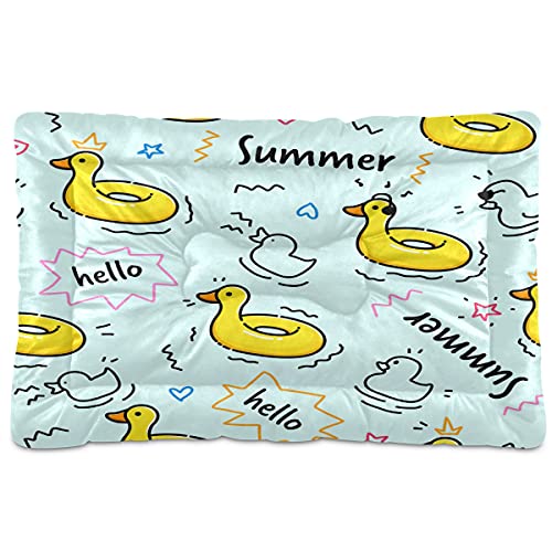 Boccsty Haustierbett aus Gummi, Vogelherz, Tier, Hund, Katze, Hundebett, 45,7 x 61 cm, Kissen für mittelgroße und kleine Welpen Boccsty Haustierbett aus Gummi, Vogelherz, Tier, Hund, Katze, Hundebett, 45,7 x 61 cm, Kissen für mittelgroße und kleine Welpen von Boccsty