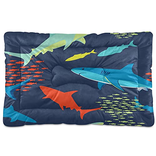 Boccsty Haustierbett mit Haifischmuster, abstrakte bunte Fische, Tiere, Hund, Katze, Hundebett, 45,7 x 61 cm, Haustierkissen, Kissen für mittelgroße und kleine Welpen Boccsty Haustierbett mit Haifischmuster, abstrakte bunte Fische, Tiere, Hund, Katze, Hundebett, 45,7 x 61 cm, Haustierkissen, Kissen für mittelgroße und kleine Welpen von Boccsty
