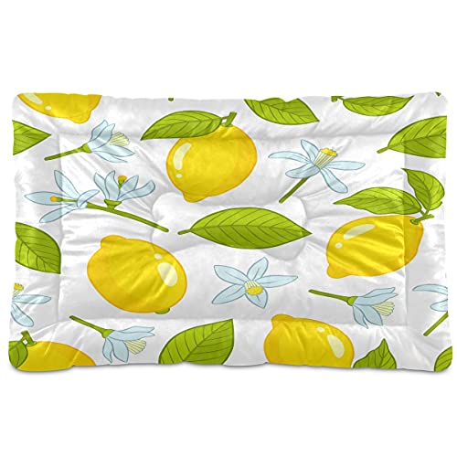 Boccsty Haustierbett mit Zitronenmuster, Blätter und Blumen, Hundebett, 45,7 x 61 cm, Kissen für mittelgroße und kleine Welpen Boccsty Haustierbett mit Zitronenmuster, Blätter und Blumen, Hundebett, 45,7 x 61 cm, Kissen für mittelgroße und kleine Welpen von Boccsty