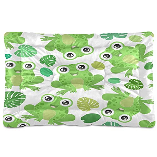 Boccsty Haustierbett mit niedlichem Froschmuster, tropische Palmenblätter, Hundebett, 45,7 x 61 cm, Haustierkissen für mittelgroße und kleine Welpen Boccsty Haustierbett mit niedlichem Froschmuster, tropische Palmenblätter, Hundebett, 45,7 x 61 cm, Haustierkissen für mittelgroße und kleine Welpen von Boccsty