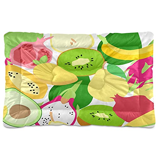 Boccsty Summer Fruits Banana Haustierbett, Avocado, Birne, Kiwi, Hundebett, 61 x 91 cm, Haustierkissen, Kissen für mittelgroße und kleine Welpen Boccsty Summer Fruits Banana Haustierbett, Avocado, Birne, Kiwi, Hundebett, 61 x 91 cm, Haustierkissen, Kissen für mittelgroße und kleine Welpen von Boccsty