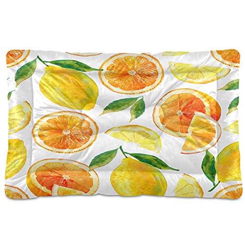Boccsty Super Fresh Lemon Sommermuster Haustierbett, Matte mit grünen Blättern, Hundebett, 45,7 x 61 cm, Haustierkissen, Kissen für mittelgroße und kleine Welpen Boccsty Super Fresh Lemon Sommermuster Haustierbett, Matte mit grünen Blättern, Hundebett, 45,7 x 61 cm, Haustierkissen, Kissen für mittelgroße und kleine Welpen von Boccsty