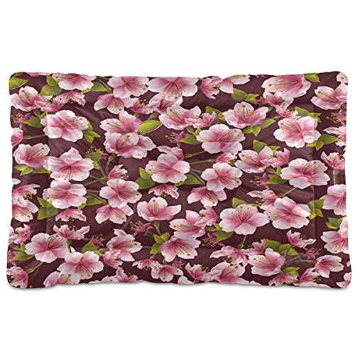 Sakura Blossom Haustierbett, japanischer Kirschbaum, Hundebett, 45,7 x 61 cm, Haustierkissen, Kissen für mittelgroße und kleine Welpen Sakura Blossom Haustierbett, japanischer Kirschbaum, Hundebett, 45,7 x 61 cm, Haustierkissen, Kissen für mittelgroße und kleine Welpen von Boccsty