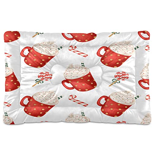 Weihnachtliche Zuckerstangen Haustierbett Matte rote Tasse Winter Hund Katze Kiste Matte Hundebett 61 x 91 cm Haustier Kissen Kissen Pad für mittelgroße kleine Welpen Schlafen Weihnachtliche Zuckerstangen Haustierbett Matte rote Tasse Winter Hund Katze Kiste Matte Hundebett 61 x 91 cm Haustier Kissen Kissen Pad für mittelgroße kleine Welpen Schlafen von Boccsty