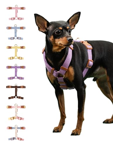BODDLELANG H-Type Easy Walk Hundegeschirr für kleine Hunde Kein Ziehen,Ausbruchsicheres Geschirr für Hunde Welpen,Haustier Hund Walking Geschirr Zubehör (Klein, Lila) von Boddlelang