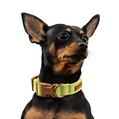 Boddlelang Weiche Baumwolle Hundehalsband, verstellbare Halsbänder für kleine und mittelgroße Hunde und Katzen von Boddlelang