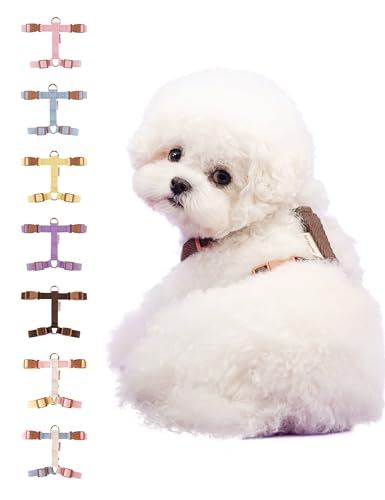 Verstellbares Hundegeschirr für kleine bis mittelgroße Hunde, kein Würgen, ausbruchsicher, weiches Baumwollgewebe, einfach zu tragen, Haustier-Spaziergängergeschirr von Boddlelang