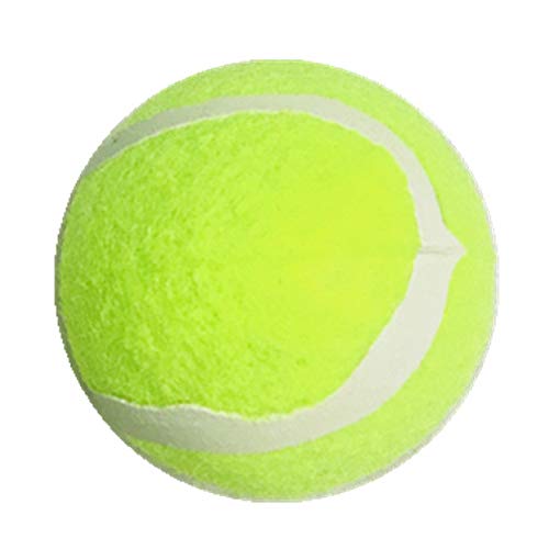 Bodhi200 6,5 cm Hund Tennisball Spiel Training Spielzeug Lustige Outdoor Sport Hund Ball Geschenk Grün von Bodhi200