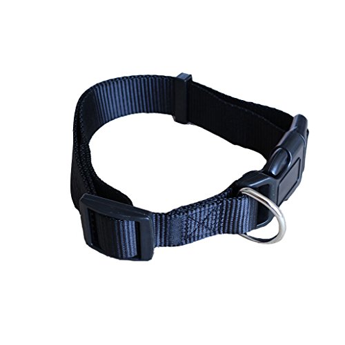 Bodhi2000 Verstellbares Haustierhalsband aus Nylon für Hunde und Welpen, Halsband mit Schnalle. von Bodhi2000