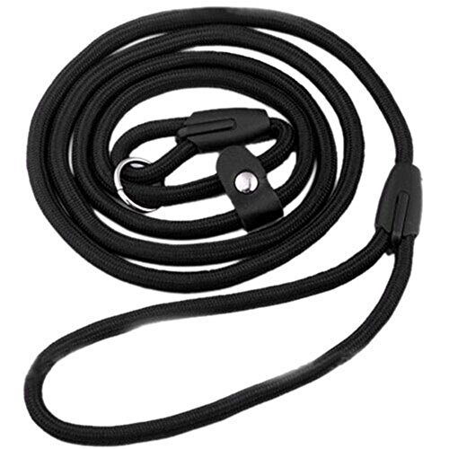 Bodhi2000 Hundeleine für Haustiere, Trainingsleine, Halsband, Nylon, verstellbar, 127 cm von Bodhi2000