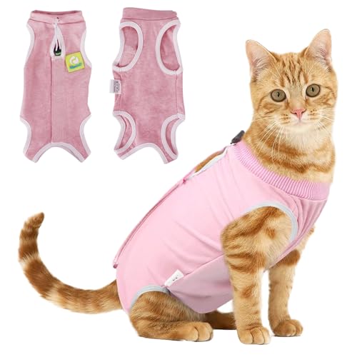 Cat Clothes Katzenchirurgie Recovery Anzug, Katzenpost Bodysuit für medizinische Spay Abdominal Wunden Hautkrankheiten Schutz, Anti Leck Kitten Alternative Entwöhnen Pyjama Kleidung Cat Clothes Katzenchirurgie Recovery Anzug, Katzenpost Bodysuit für medizinische Spay Abdominal Wunden Hautkrankheiten Schutz, Anti Leck Kitten Alternative Entwöhnen Pyjama Kleidung von Bodorma