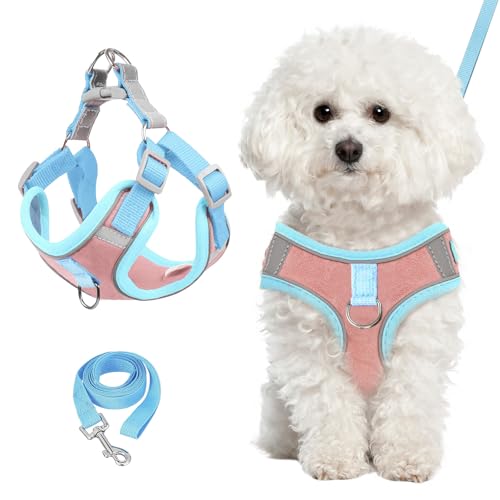 4PCS Hund Hundeleinen for Welpe, Anti Rutsch Atmungsaktiv Hundestiefel mit Reflektierenden, Pfote Beschützer für Kleine Mittlere Hunde Outdoor Wandern Walking Boden 4PCS Hund Hundeleinen for Welpe, Anti Rutsch Atmungsaktiv Hundestiefel mit Reflektierenden, Pfote Beschützer für Kleine Mittlere Hunde Outdoor Wandern Walking Boden von Bodorma