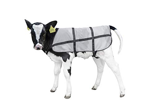 Bodyguard Produkte für den Sommer für Kälber Bodyguard Produkte für den Sommer für Kälber von Bodyguard