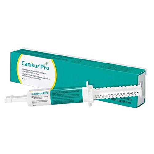 Canikur pro chien seringue orale - Seringue de 30 ml von Boehringer