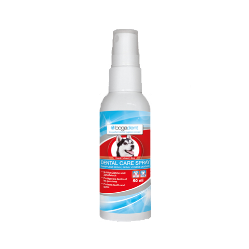 Bogadent Dental Care Spray Hund von Bogadent