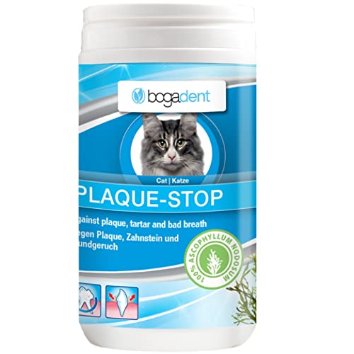 Bogadent Plaque-Stop Katze, 1er Pack (1 x 70 ml) von Bogadent