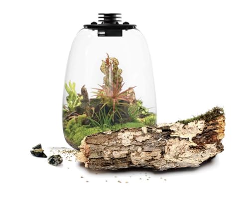 Ultraklares Borosilikatglas-Terrarium (15,2 cm - 21,6 cm D x 23,9 cm - 29,5 cm H) mit LED-Wachstumslicht und verstellbarer Belüftung (QD205) von Bogman Plantenstein