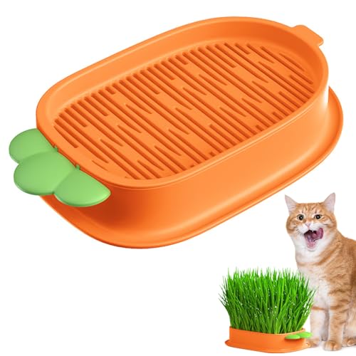 Bogoro Katzengras, Katzengras-Anzuchtset, Soilless Culture Katzengras-Pflanzbehälter, Hydrokultur-Katzengras-Pflanzgefäß, Katzengras Hydrokultur Topf, Katzengras Topf für Hauskatzen Bogoro Katzengras, Katzengras-Anzuchtset, Soilless Culture Katzengras-Pflanzbehälter, Hydrokultur-Katzengras-Pflanzgefäß, Katzengras Hydrokultur Topf, Katzengras Topf für Hauskatzen von Bogoro