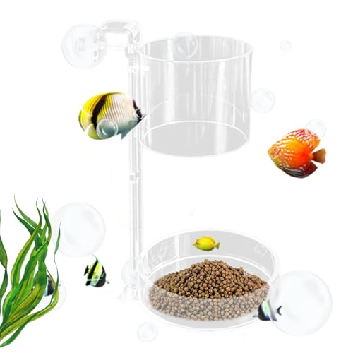 Bohany Aquarium Futterautomat Mit Schwimmendem Und Sinkendem Design, Fischfutterautomat, Futterbehälter Für Kleinere Räume Zuhause Arbeitsplatz Wohnzimmer Hobbyisten Bohany Aquarium Futterautomat Mit Schwimmendem Und Sinkendem Design, Fischfutterautomat, Futterbehälter Für Kleinere Räume Zuhause Arbeitsplatz Wohnzimmer Hobbyisten von Bohany