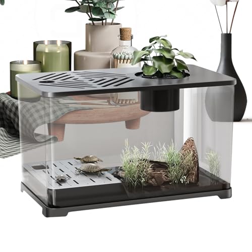 Bohany Betta Fischbecken | Großes Aquarium-Set Schreibtisch Fischbecken | Panorama Sichtbecken Mit Schildkröten Ruhebereich Für Guppy Quallen Und Wasserpflanzen Als Schreibtisch Deko von Bohany