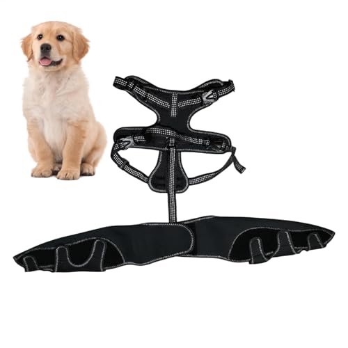 Bohany Orthopädische Klammer für Hunde, Hundeknieklammer - Pet Joint Hip Support Brace - Tragen Sie resistente Hundehockgelenkunterstützung für kleine Tiere Haustiere Bohany Orthopädische Klammer für Hunde, Hundeknieklammer - Pet Joint Hip Support Brace - Tragen Sie resistente Hundehockgelenkunterstützung für kleine Tiere Haustiere von Bohany