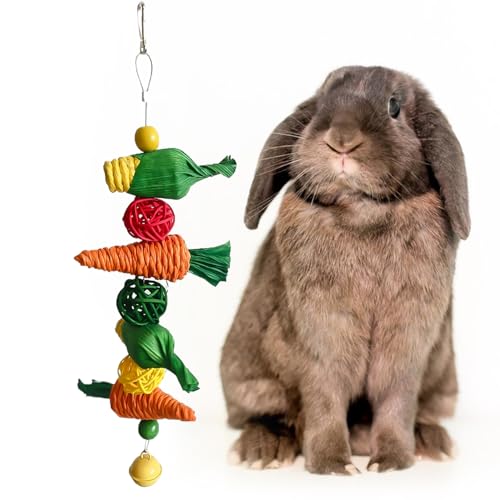 Bohue Bunny Kauspielzeug Karotte Kauspielzeug Stroh Gewebt Karotte Kaninchen Spielzeug Häschen Käfig Spielzeug Haustier Molar Zähne Leckereien Spielzeug für Hasen Hamster von Bohue