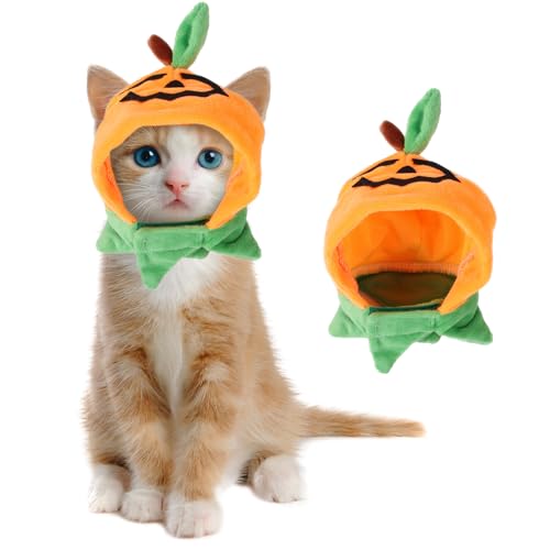 Bohue Halloween-Kürbis-Katzenhut, Haustier-Kürbis-Hut, verstellbar, lustiger Katzenhut, Halloween-Kopfschmuck für Haustier, Cosplay, Kostümparty Bohue Halloween-Kürbis-Katzenhut, Haustier-Kürbis-Hut, verstellbar, lustiger Katzenhut, Halloween-Kopfschmuck für Haustier, Cosplay, Kostümparty von Bohue