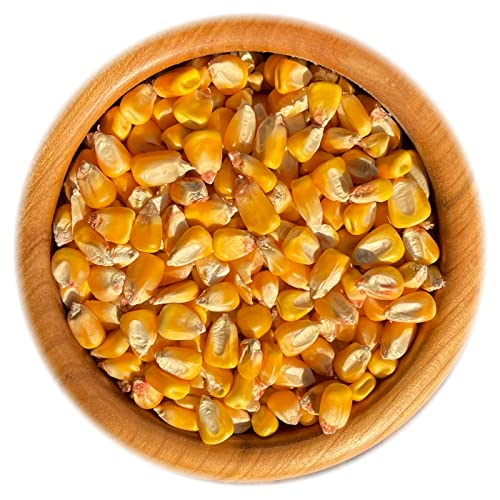 30 kg. Boill/Mais ganz - Einzelfuttermittel direkt vom Hersteller 30 kg. Boill/Mais ganz - Einzelfuttermittel direkt vom Hersteller von Boill