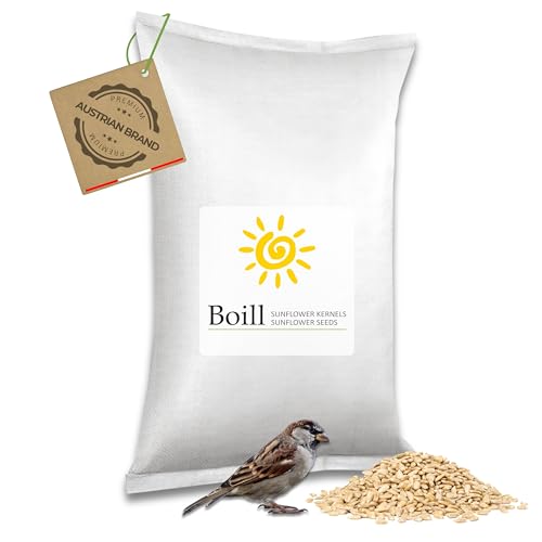 Boill/Sonnenblumenkerne geschält Bruch 25 kg - Vogelfutter direkt vom Hersteller, Wildvögel Garten Futter Neue Ernte 2021 ganzjahresfutter gebrochen, gehackt von Boill