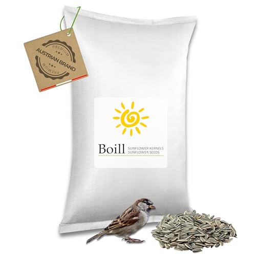 Boill/Sonnenblumenkerne 100% gestreift 25 kg - Vogelfutter direkt vom Hersteller, Wildvögel Garten Futter Neue Ernte 2023 ganzjahresfutter fettfutter 25000 g von Boill