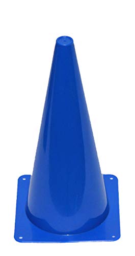 Boje Sport Markierkegel, 38 cm, Farbe blau für Agility Hundesport, Hundetraining, Koordinationstraining, Ausdauertraining und Sprinttraining mit ihrem Vierbeiner von Boje Sport
