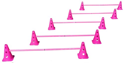 Steckhürdenset Pink - 5 er Set für Koordinationstraining Agility Hundesport Pferdesport Zubehör Lochkegel Fussball Pylone Stangen Lochkegel für Trainingsübungen Trainingszubehör Steckhürdenset Pink - 5 er Set für Koordinationstraining Agility Hundesport Pferdesport Zubehör Lochkegel Fussball Pylone Stangen Lochkegel für Trainingsübungen Trainingszubehör von Boje Sport