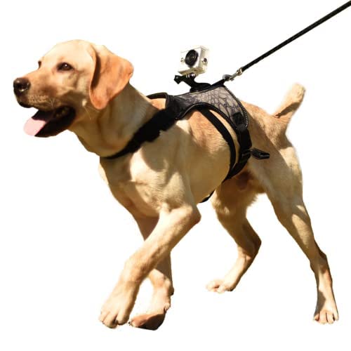 Bokerom Hundegeschirr Brustgurt Schulter für Sport Action Kamera Fester Schultergurt für mittelgroße große Hunde (L) von Bokerom