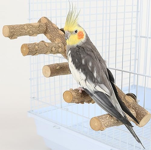 Bolagar Vogel Papagei Leiter Sitzstange für Käfig, Natur Holz Vogel Brücke Übung Ständer Papagei Klettern Kauen Spielzeug für Kleintiere von Bolagar