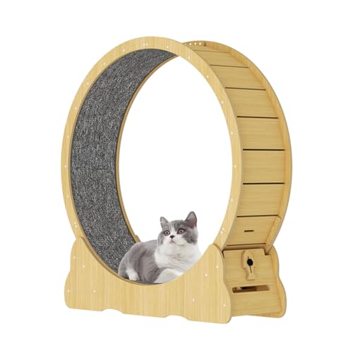 Katzenlaufrad Laufrad, Mega leise 100cm Durchmesser, Ultra Leises Laufrad für Katzen, Luxus Katzenlaufrad, Innendurchmesser Indoor -Sportspielzeuge und -Ausrüstung Katzenlaufrad Laufrad, Mega leise 100cm Durchmesser, Ultra Leises Laufrad für Katzen, Luxus Katzenlaufrad, Innendurchmesser Indoor -Sportspielzeuge und -Ausrüstung von Bolam