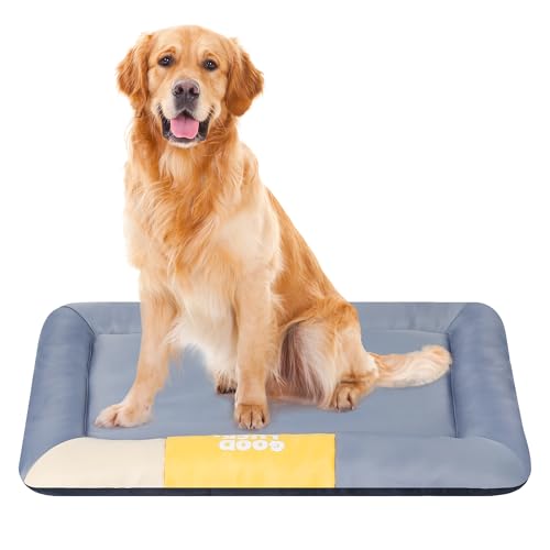 Orthopädisches Ganzjahres-Katzen- und Hundebett aus Memory-Schaum – wasserdichtes, waschbares Haustierbett für bequeme Unterstützung, ganzjährige Nutzung (groß) von Bolfie