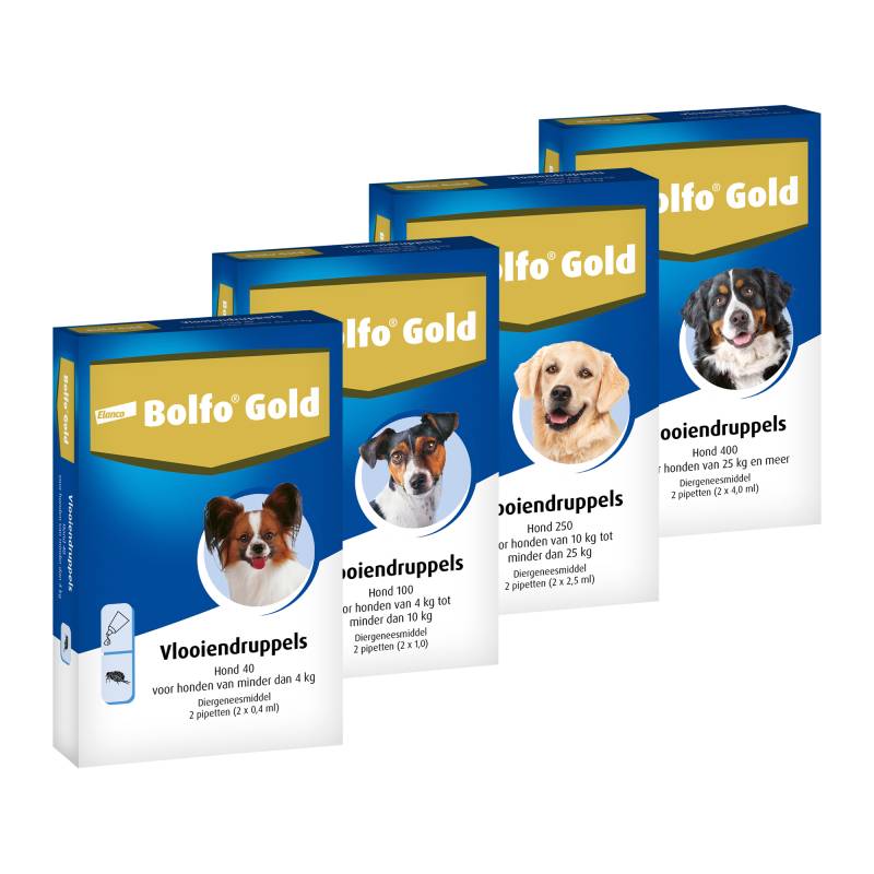 Bolfo Gold Hund 100 - 4 Pipetten von Bolfo