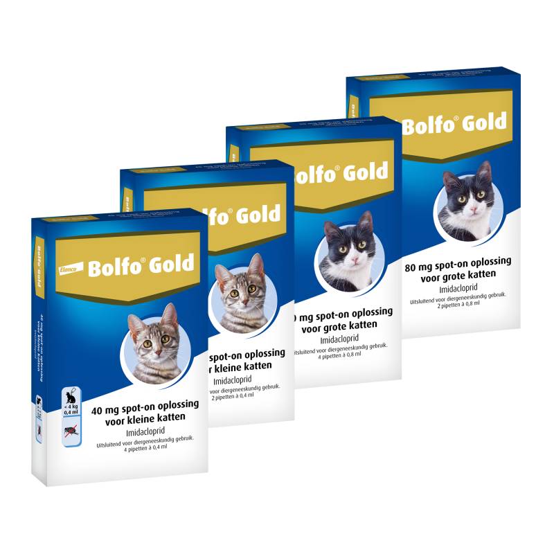 Bolfo Gold Katze 40 - 4 Pipetten Bolfo Gold Katze 40 - 4 Pipetten von Bolfo