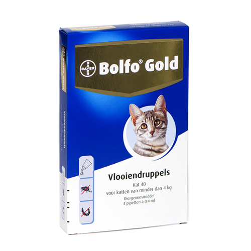 Bolfo Gold Katze 40 - 4 Pipetten von Bolfo
