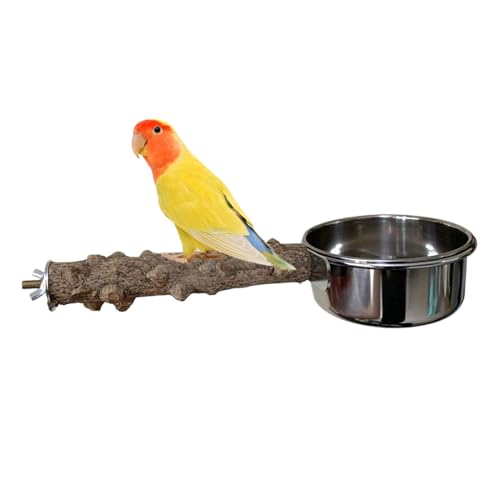 Bollisate -Sitzstange mit Futterbecher, Vogelkäfig-Sitzstange aus mit Schüssel, integriertes Design, Fütterungswerkzeug für Nymphensittiche, mittelgroße , Wellensittiche von Bollisate