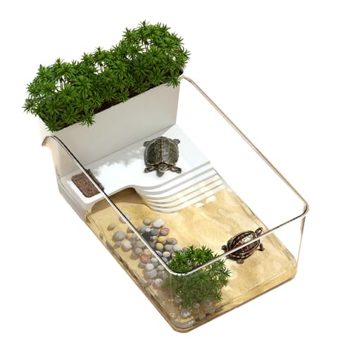 Bollisate Wasserschildkröten Terrarium - Futterplatz Für Sumpfschildkröten - Kleines Schildkrötenbecken Für Tierheime Lernumgebung Naturpädagogik Wissenschaftsprojekte Tiergemeinschaften Bollisate Wasserschildkröten Terrarium - Futterplatz Für Sumpfschildkröten - Kleines Schildkrötenbecken Für Tierheime Lernumgebung Naturpädagogik Wissenschaftsprojekte Tiergemeinschaften von Bollisate