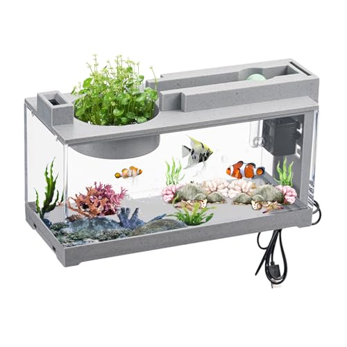 Tischaquarium, Fischtank Aquariums, GlasbeckenTropischeAquarien, Mini Desktop Aquariums, Retro Dekoratives Ruhiges Schreibtischaquarium mit Wasserpumpe für Schildkröten, Reptilien von Bollisate