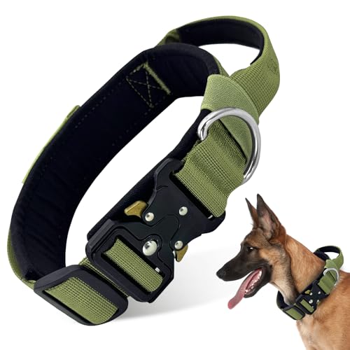 Boloshine Taktisches Hundehalsband, Verstellbare Halsband mit Kontrollgriff, Militär-Hundehalsband mit Robuster Metallschnalle für Mittlere Große Hunde Jagd Training Freizeit (Armeegrün, L) von BoloShine