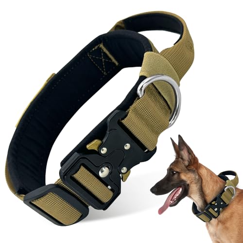 Boloshine Taktisches Hundehalsband, Verstellbare Halsband mit Kontrollgriff, Militär-Hundehalsband mit Robuster Metallschnalle für Mittlere Große Hunde Jagd Training Freizeit (Khaki, XL) von BoloShine