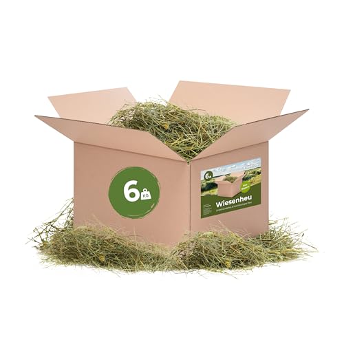 Bolson frisches & unbehandeltes Wiesenheu (6 kg) - 1.Schnitt Heu mit Gräsern & Blüten aus Bayern - direkt ab Hof verpackt - hochwertiges Heu zur Fütterung & Einstreu von Kaninchen, Hamster von Bolson