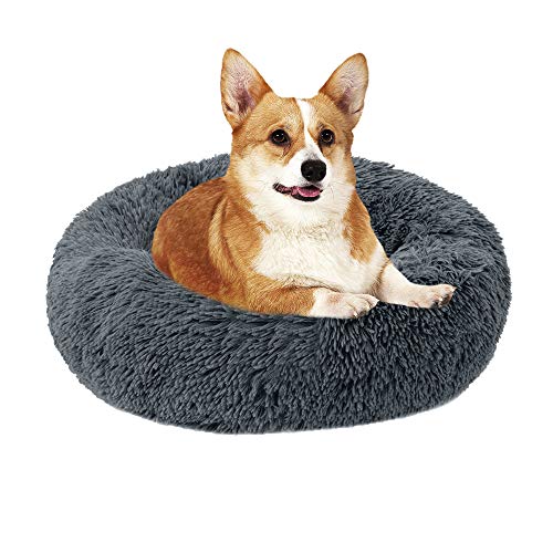 Bolukets Haustierbett für Katzen und Hunde Rundes Plüsch Hundebett Katzenbett in Doughnut-Form Farbe und Größe Optional von Bolukets