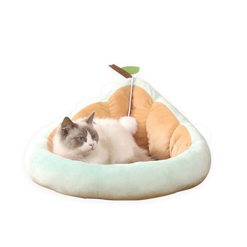 Katzenbetten, Haustierbett Schöne katzenbett Tierbett Avocado-Hundekatzenbett Katzenhöhle Süßes rutschfeste Unterseite Haustierbett für Katzen Welpen für alle Jahreszeiten (L-58x32cm, Grün) von BomDog