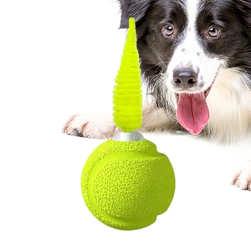 Bomefoi Katzenball Mit Federn - Kätzchen Spielzeug Ball mit Geräusch - Interaktives Trainingsspielzeug Für Drinnen & Draußen Gegen Langeweile Bomefoi Katzenball Mit Federn - Kätzchen Spielzeug Ball mit Geräusch - Interaktives Trainingsspielzeug Für Drinnen & Draußen Gegen Langeweile von Bomefoi