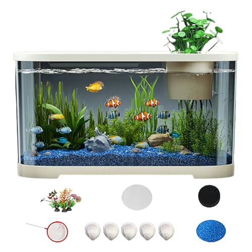Bomefoi Kleines Aquarium,Aquarium-Set | Komplettset Mit Zubehör Für Zimmer Schreibtisch Deko Quallen Anfänger Erwachsene Kampffisch Liebhaber Bomefoi Kleines Aquarium,Aquarium-Set | Komplettset Mit Zubehör Für Zimmer Schreibtisch Deko Quallen Anfänger Erwachsene Kampffisch Liebhaber von Bomefoi
