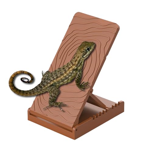 Bomefoi Reptilien Sonnenplatz Rampe,Terrarium Sonnenstein Schieferplatte Für Gecko - Klappbare Reptilienrampe Für Klettern Ruhen Füttern Bei Echsen Schlangen Fröschen Bomefoi Reptilien Sonnenplatz Rampe,Terrarium Sonnenstein Schieferplatte Für Gecko - Klappbare Reptilienrampe Für Klettern Ruhen Füttern Bei Echsen Schlangen Fröschen von Bomefoi